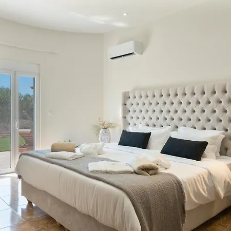 Elaionas Luxury 科斯镇