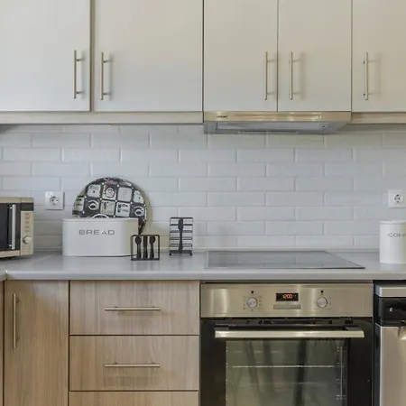 公寓 Elaionas Luxury 科斯镇